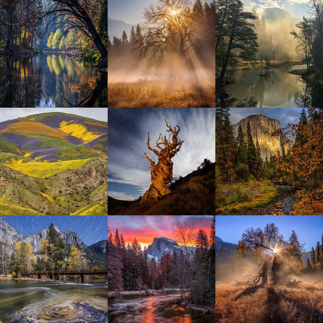 2017BestNine-